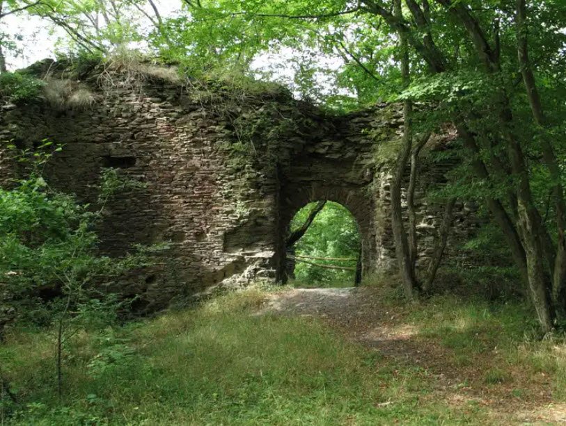 Ruine Burg Rheinberg, Lorch, Hesse, Germany, Germany